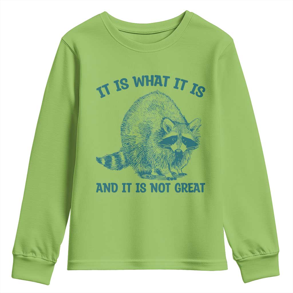 Funny Raccoon Meme It Is What It Is Youth Sweatshirt And It Is Not Great Mental Health Support - Wonder Print Shop