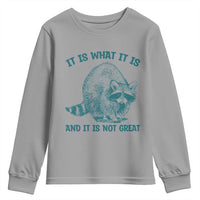 Funny Raccoon Meme It Is What It Is Youth Sweatshirt And It Is Not Great Mental Health Support - Wonder Print Shop