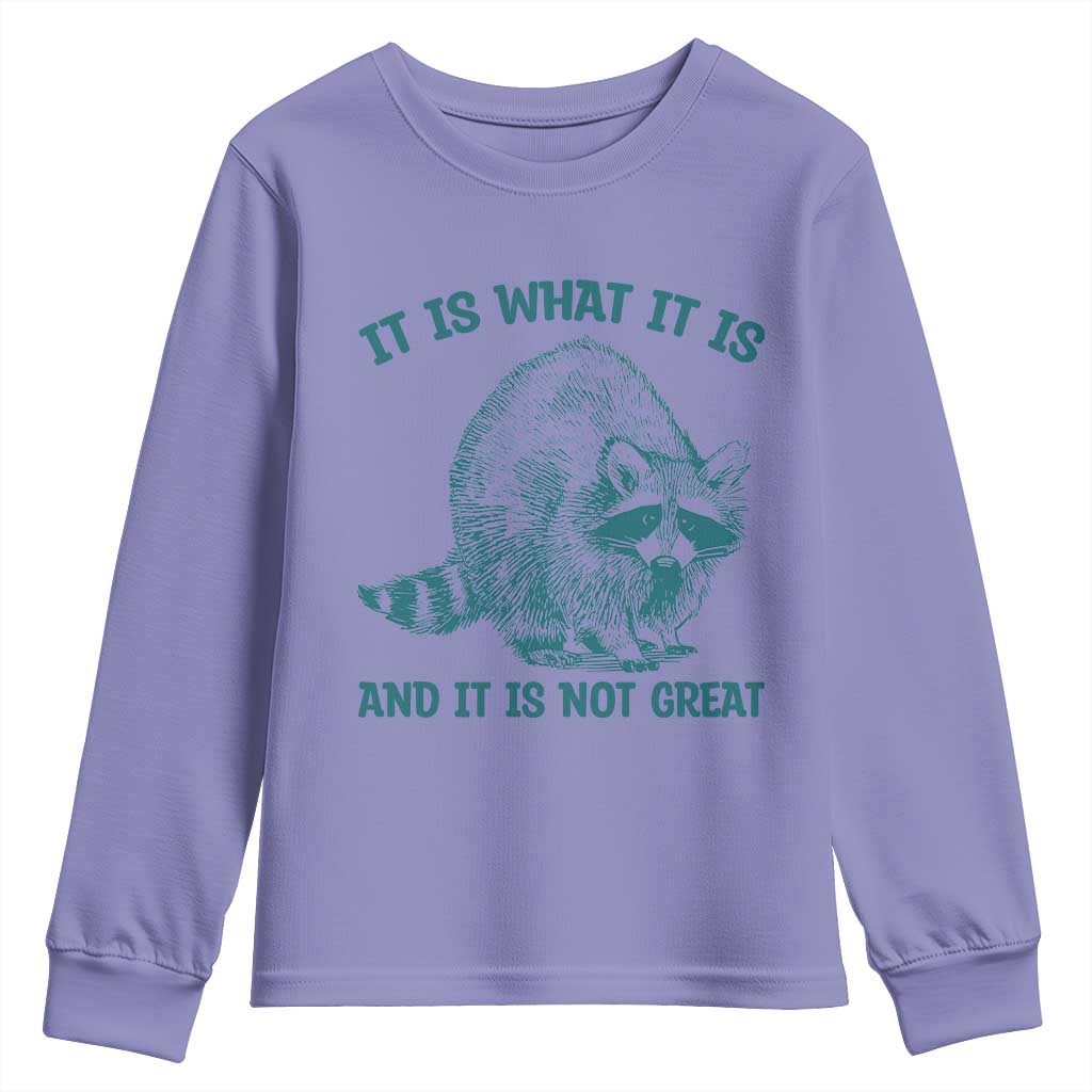 Funny Raccoon Meme It Is What It Is Youth Sweatshirt And It Is Not Great Mental Health Support - Wonder Print Shop