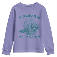 Funny Raccoon Meme It Is What It Is Youth Sweatshirt And It Is Not Great Mental Health Support - Wonder Print Shop
