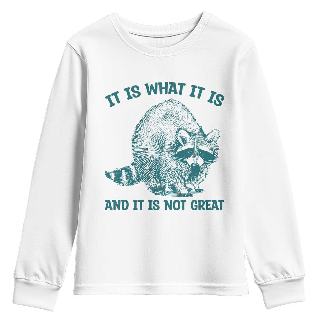 Funny Raccoon Meme It Is What It Is Youth Sweatshirt And It Is Not Great Mental Health Support - Wonder Print Shop