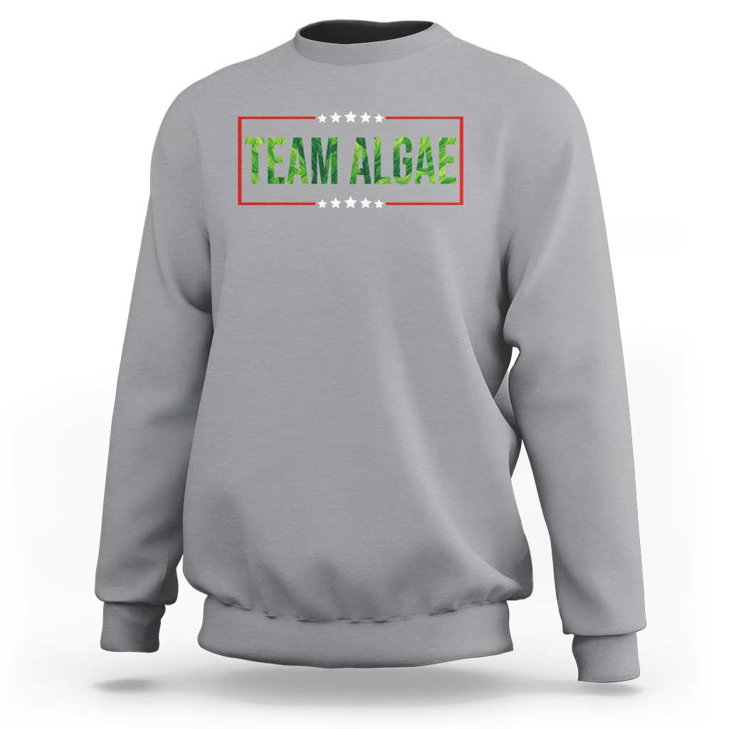 Team Algae Satire Sweatshirt Funny Lincoln Memorial Reflecting Pool Meme Parody