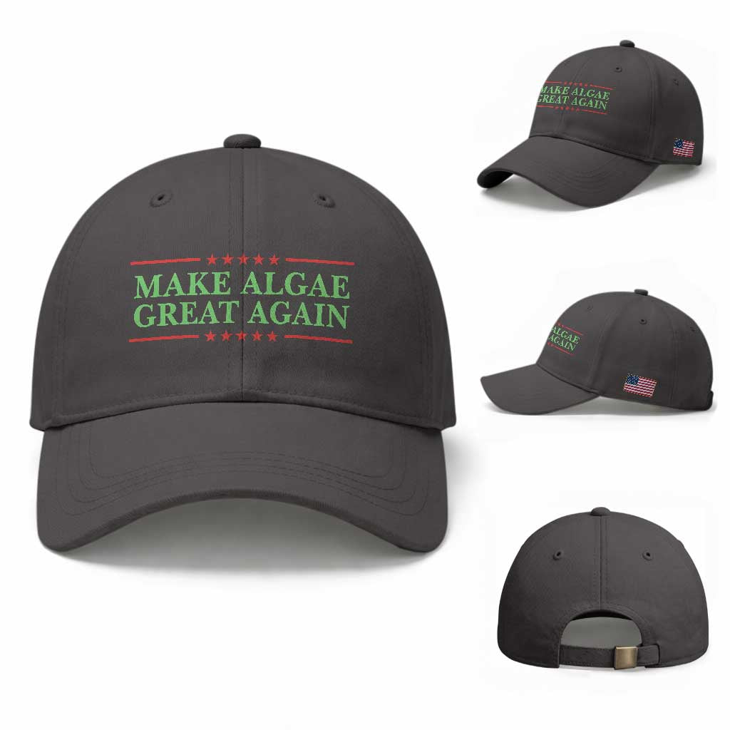 Make Algae Great Again Retro Baseball Cap Funny Lincoln Memorial Reflecting Pool Parody Meme