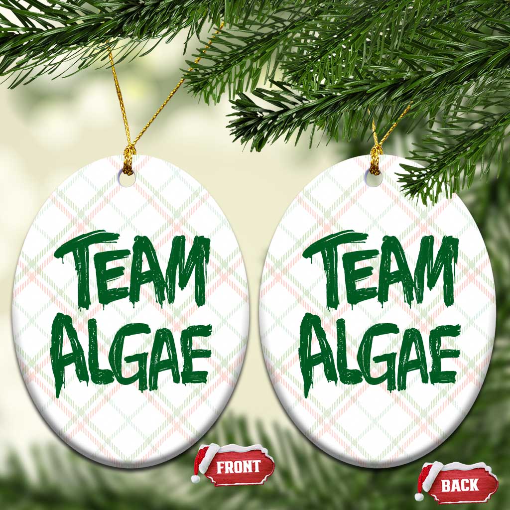 Team Algae Slime Dripping Style Graphic Ceramic Ornament Viral Lincoln Memorial Reflecting Pool Swamp Meme