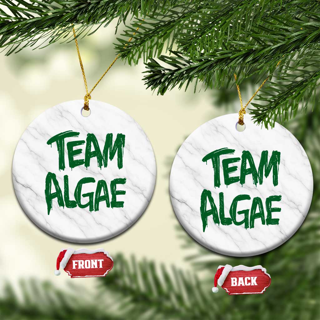 Team Algae Slime Dripping Style Graphic Ceramic Ornament Viral Lincoln Memorial Reflecting Pool Swamp Meme