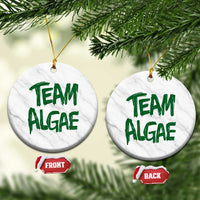 Team Algae Slime Dripping Style Graphic Ceramic Ornament Viral Lincoln Memorial Reflecting Pool Swamp Meme