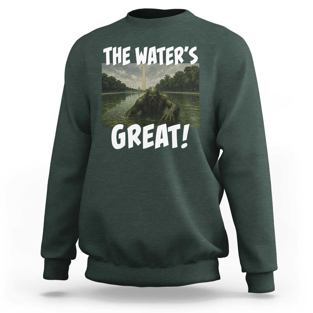 The Water is Great Swamp Monster Reflecting Pool Sweatshirt Funny Washington DC Algae Creature Meme