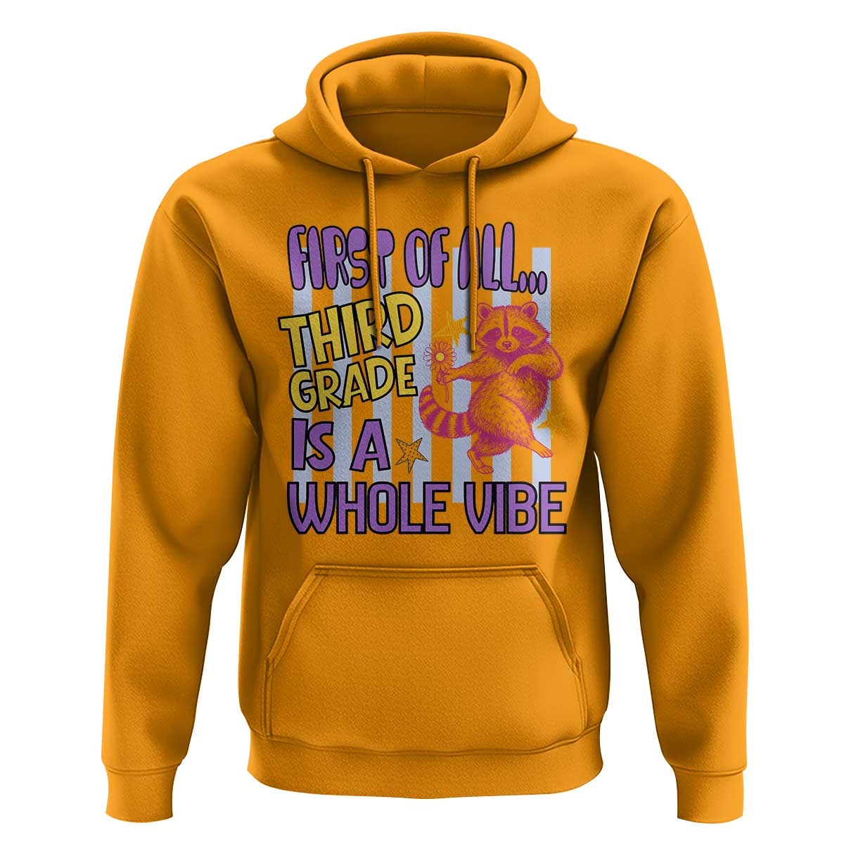 Cute Raccoon 3rd Grade Student Teacher Preppy Style Hoodie First of All Third Grade Is A Whole Vibe Back To School