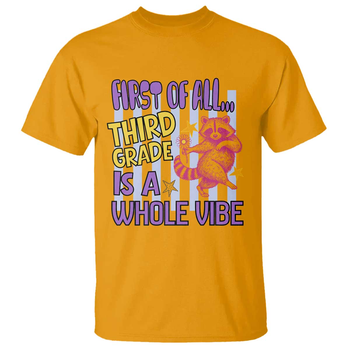 Cute Raccoon 3rd Grade Student Teacher Preppy Style T Shirt First of All Third Grade Is A Whole Vibe Back To School