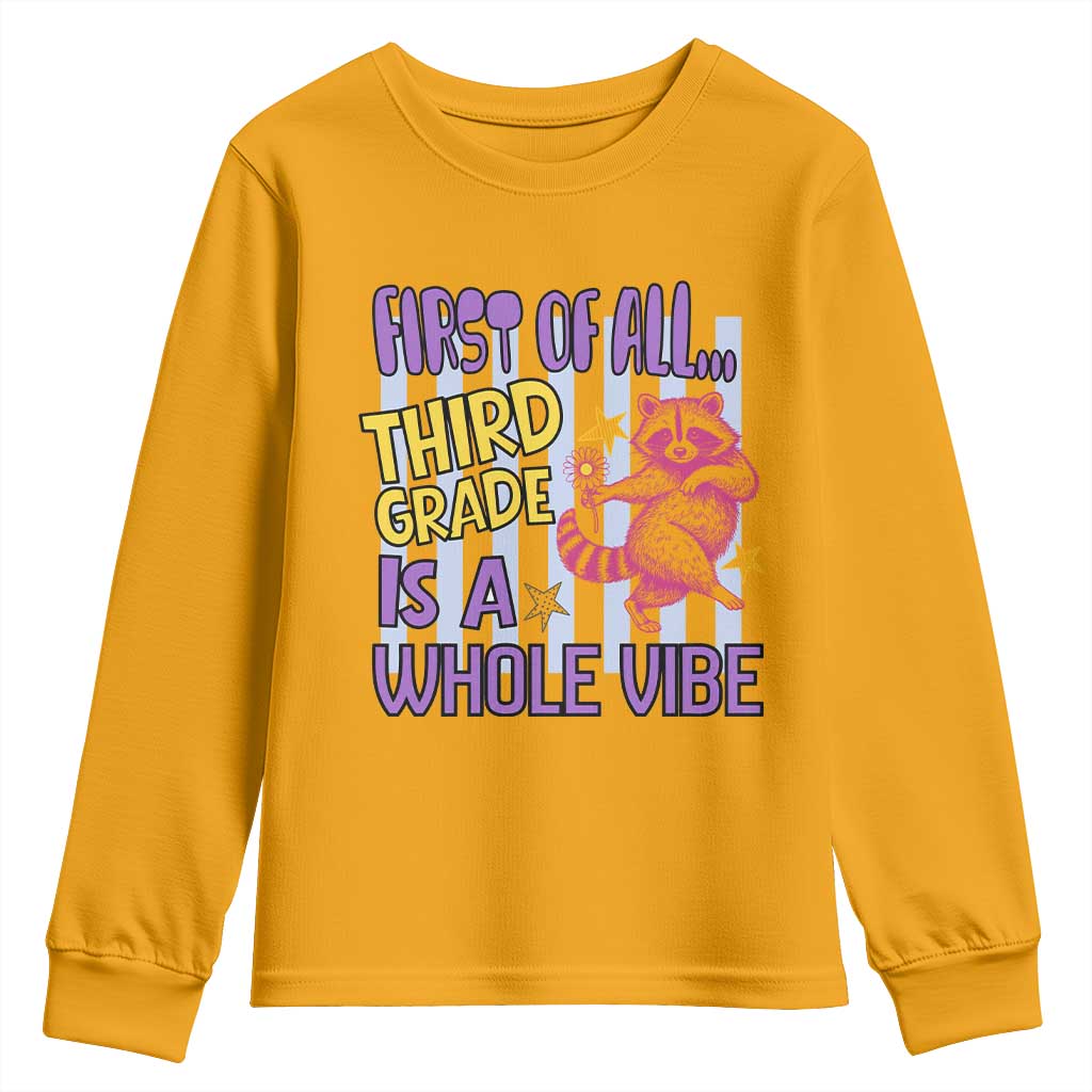 Cute Raccoon 3rd Grade Student Teacher Preppy Style Youth Sweatshirt First of All Third Grade Is A Whole Vibe Back To School