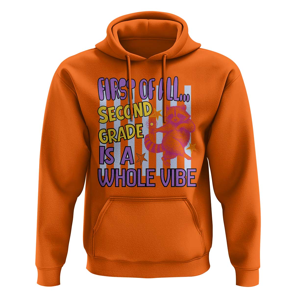 Cute Raccoon 2nd Grade Student Teacher Preppy Style Hoodie First of All Second Grade Is A Whole Vibe Back To School
