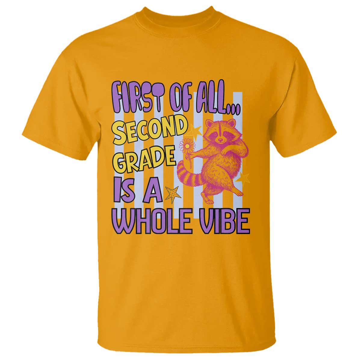 Cute Raccoon 2nd Grade Student Teacher Preppy Style T Shirt First of All Second Grade Is A Whole Vibe Back To School