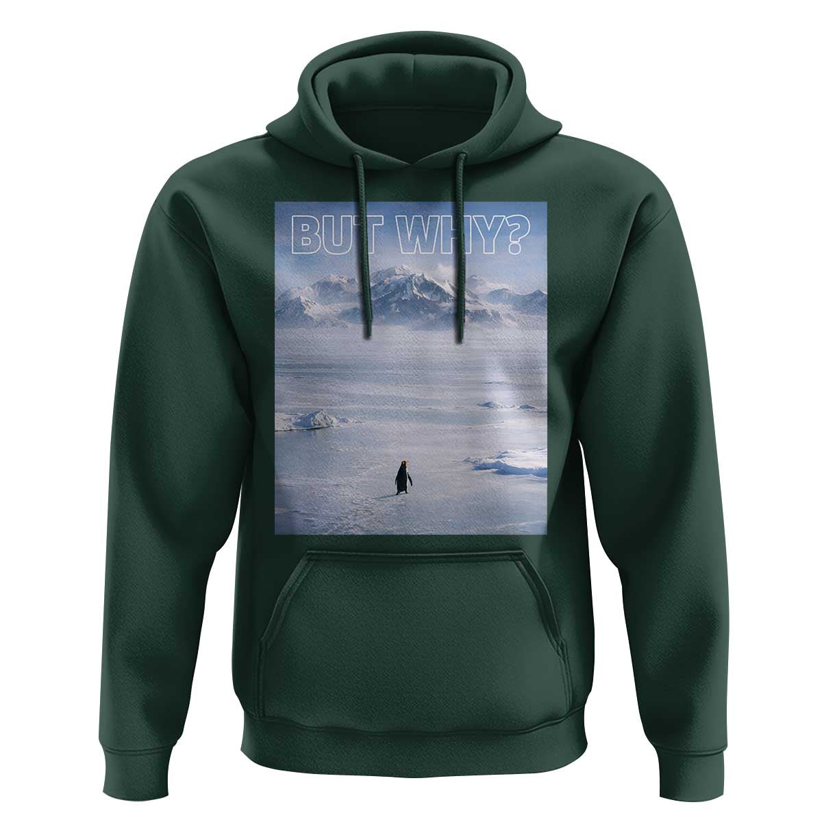 Funny Nihilist Penguin But Why Meme Hoodie Existential Arctic Scene Icy Wilderness Quiet Thinkers
