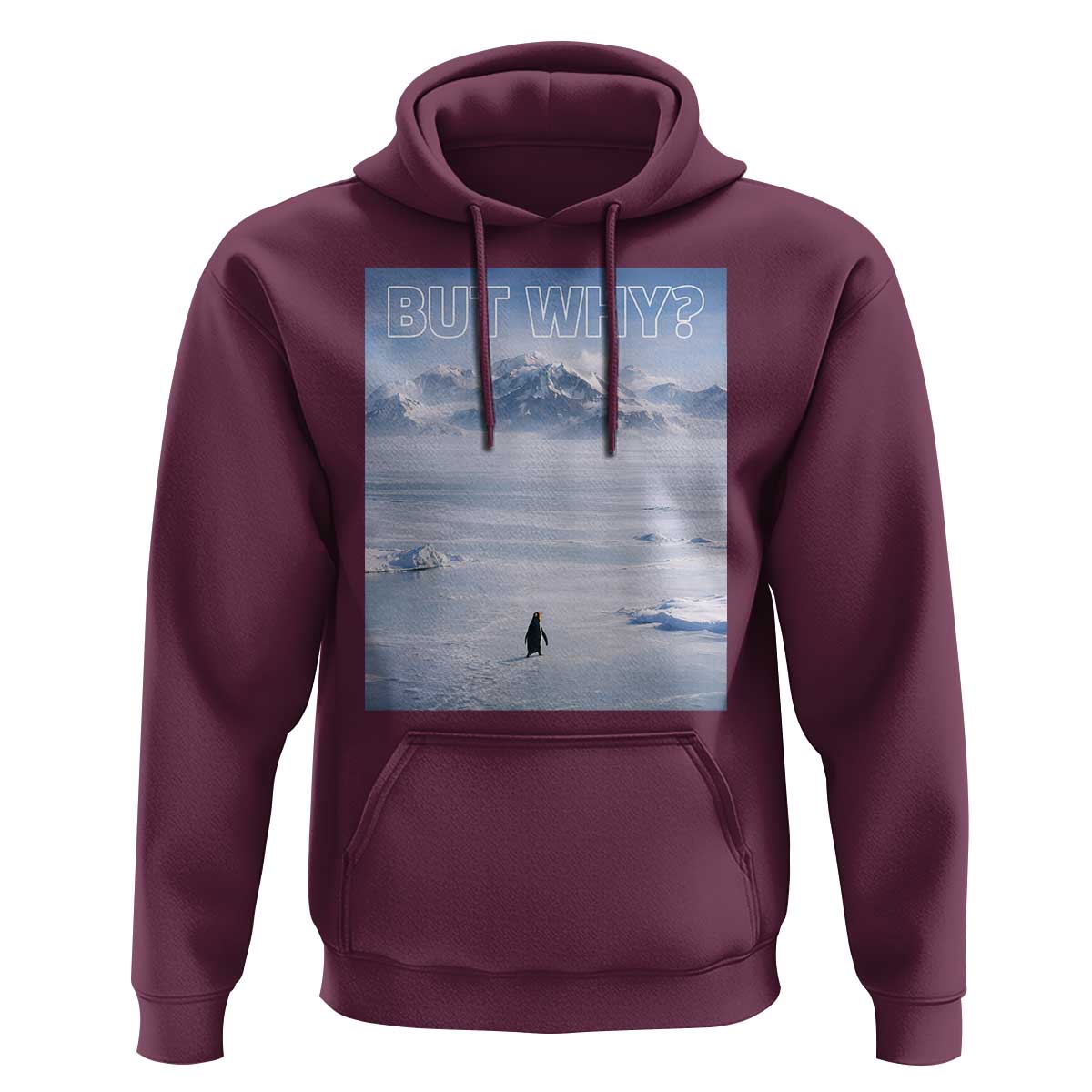 Funny Nihilist Penguin But Why Meme Hoodie Existential Arctic Scene Icy Wilderness Quiet Thinkers