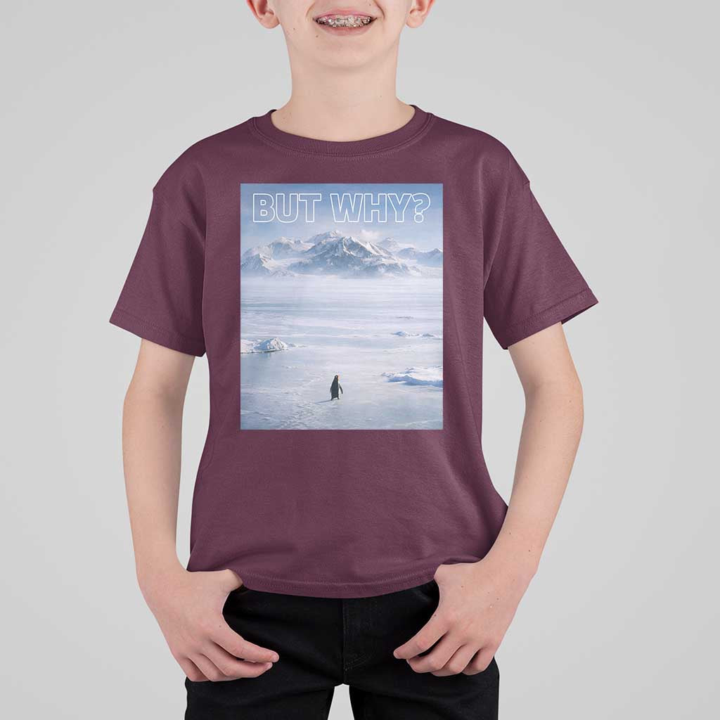 Funny Nihilist Penguin But Why Meme T Shirt For Kid Existential Arctic Scene Icy Wilderness Quiet Thinkers