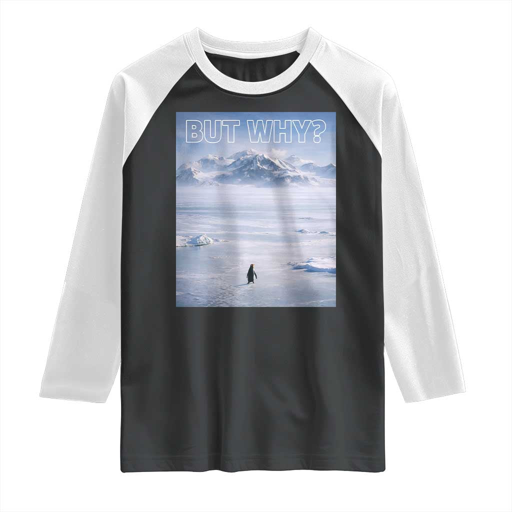 Funny Nihilist Penguin But Why Meme Raglan Shirt Existential Arctic Scene Icy Wilderness Quiet Thinkers