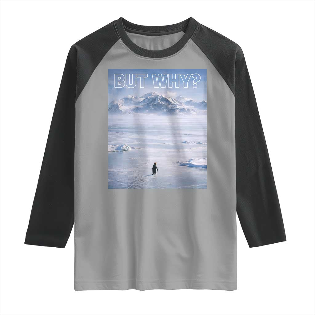 Funny Nihilist Penguin But Why Meme Raglan Shirt Existential Arctic Scene Icy Wilderness Quiet Thinkers