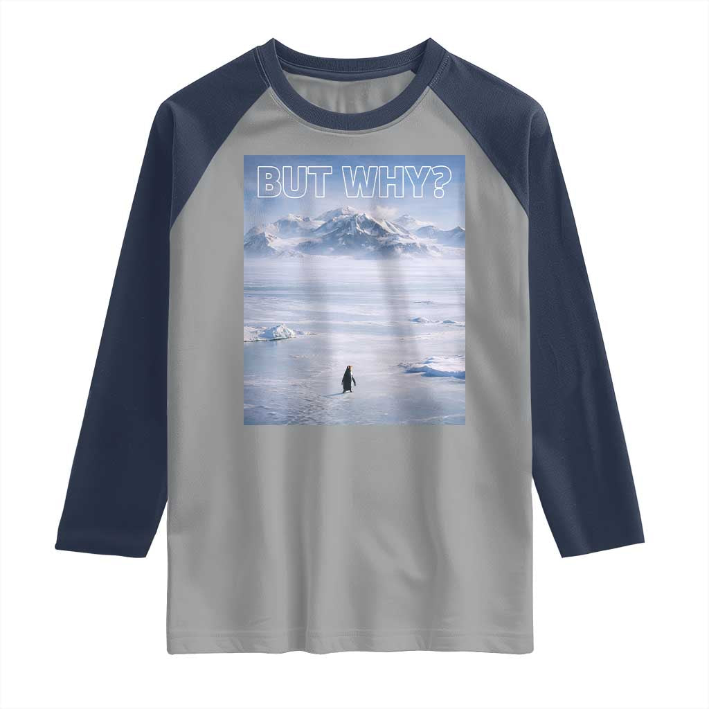 Funny Nihilist Penguin But Why Meme Raglan Shirt Existential Arctic Scene Icy Wilderness Quiet Thinkers