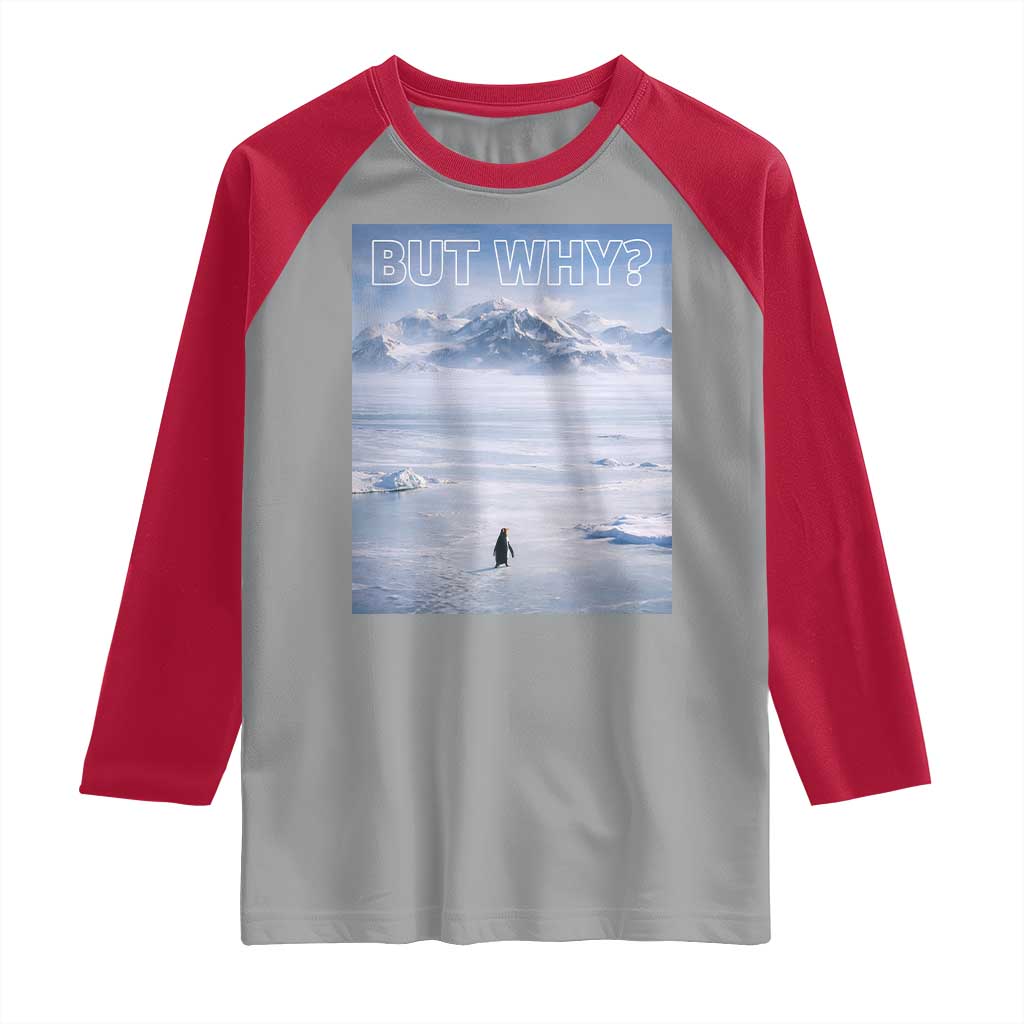 Funny Nihilist Penguin But Why Meme Raglan Shirt Existential Arctic Scene Icy Wilderness Quiet Thinkers