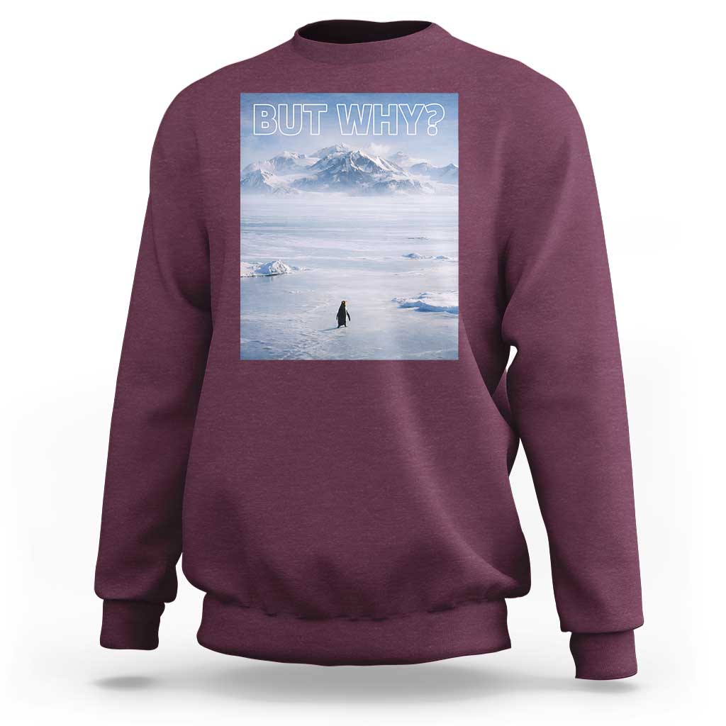 Funny Nihilist Penguin But Why Meme Sweatshirt Existential Arctic Scene Icy Wilderness Quiet Thinkers