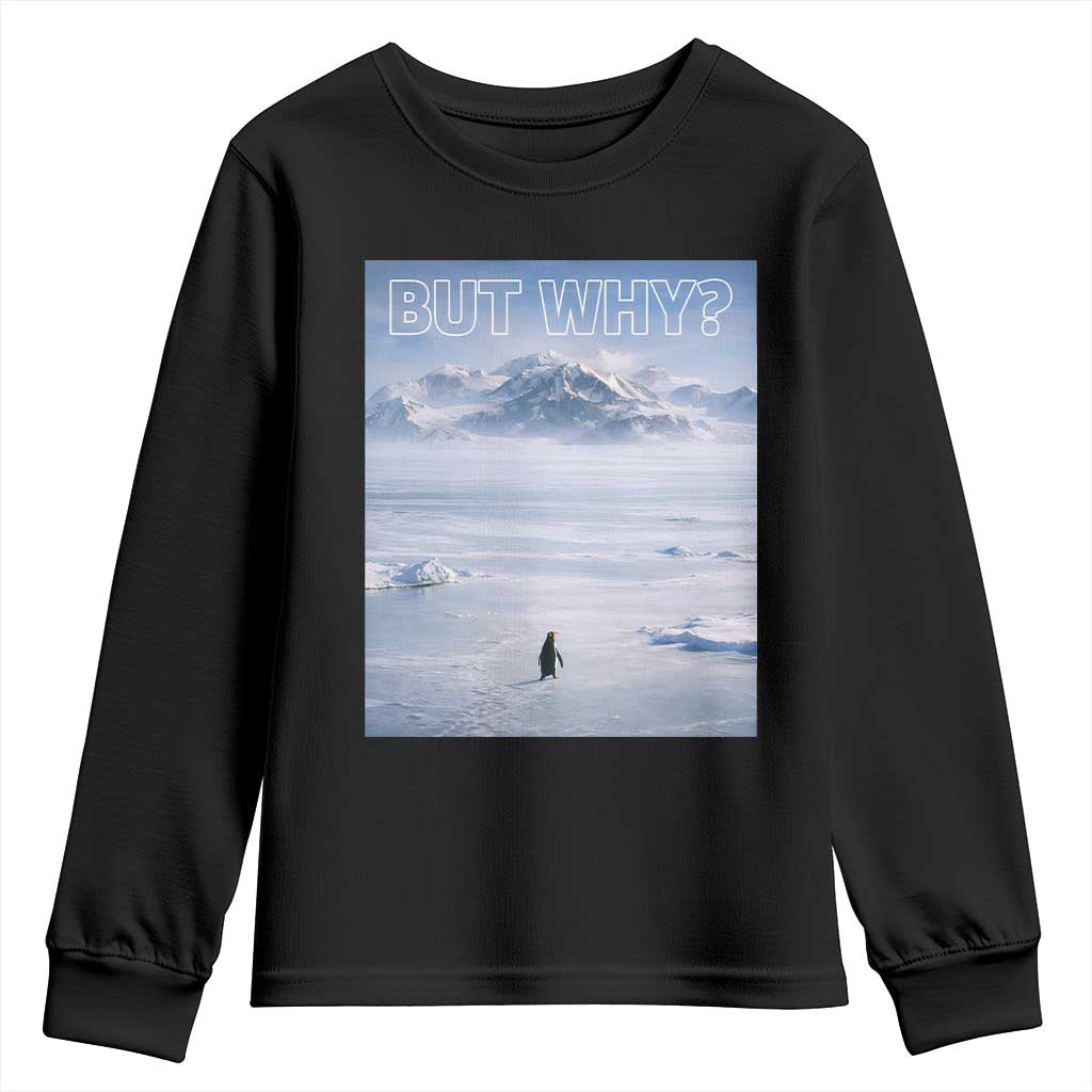 Funny Nihilist Penguin But Why Meme Youth Sweatshirt Existential Arctic Scene Icy Wilderness Quiet Thinkers