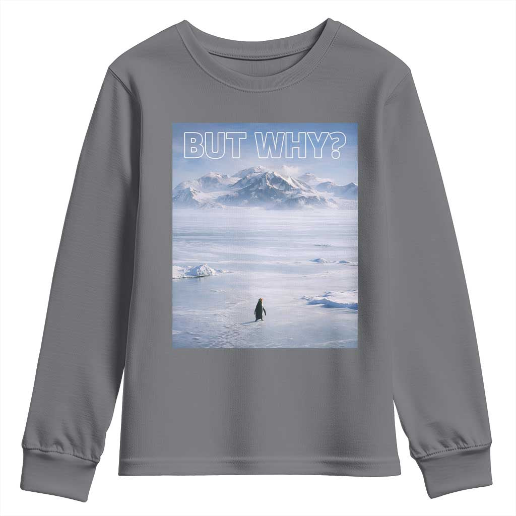 Funny Nihilist Penguin But Why Meme Youth Sweatshirt Existential Arctic Scene Icy Wilderness Quiet Thinkers