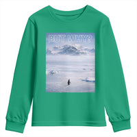 Funny Nihilist Penguin But Why Meme Youth Sweatshirt Existential Arctic Scene Icy Wilderness Quiet Thinkers