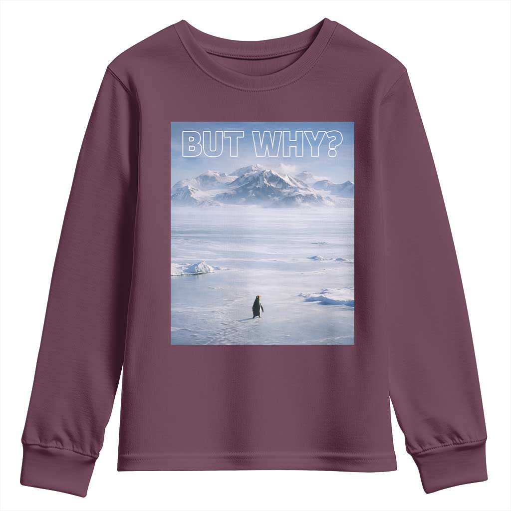 Funny Nihilist Penguin But Why Meme Youth Sweatshirt Existential Arctic Scene Icy Wilderness Quiet Thinkers