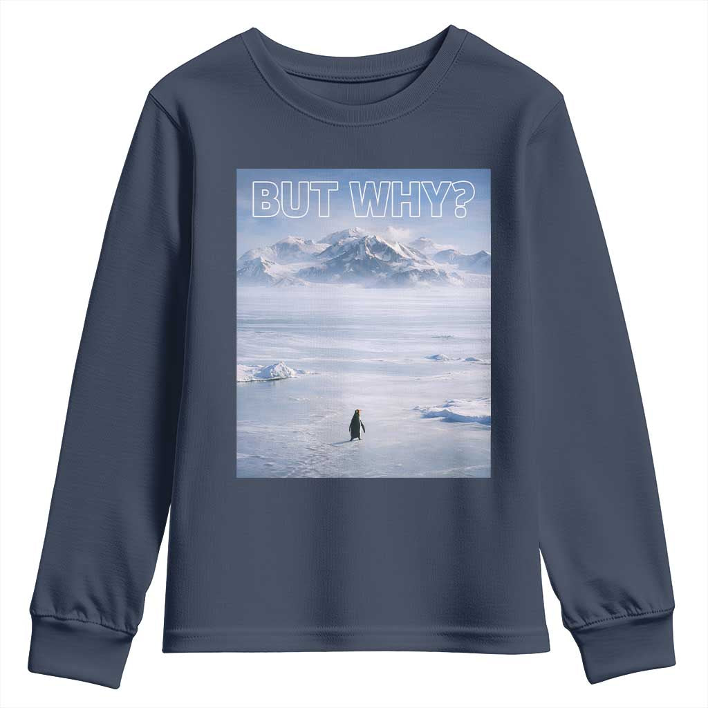 Funny Nihilist Penguin But Why Meme Youth Sweatshirt Existential Arctic Scene Icy Wilderness Quiet Thinkers