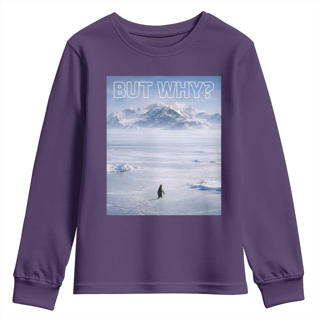 Funny Nihilist Penguin But Why Meme Youth Sweatshirt Existential Arctic Scene Icy Wilderness Quiet Thinkers