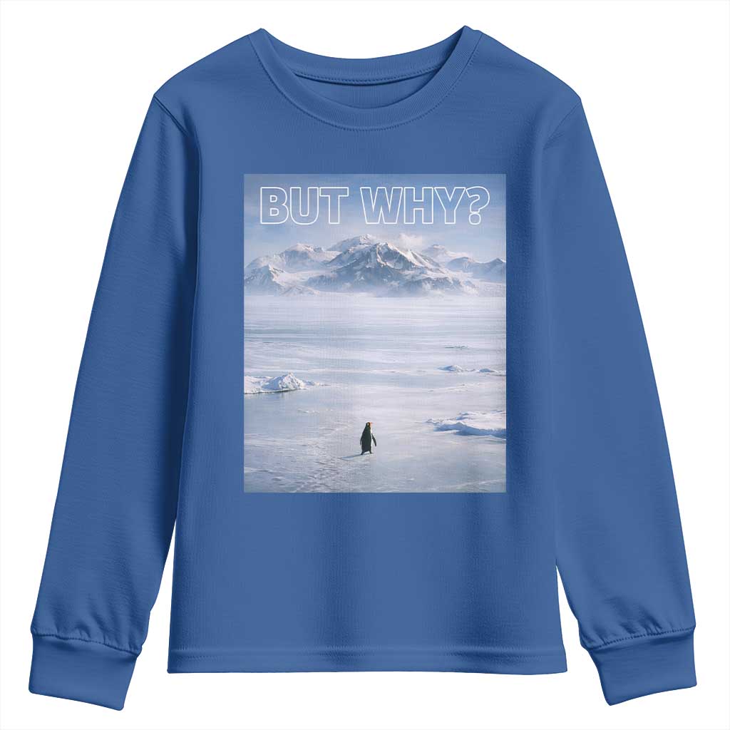 Funny Nihilist Penguin But Why Meme Youth Sweatshirt Existential Arctic Scene Icy Wilderness Quiet Thinkers