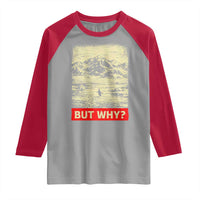 Retro Nihilist Penguin But Why Meme Raglan Shirt Distressed Existential Moody Vintage Quiet Thinkers