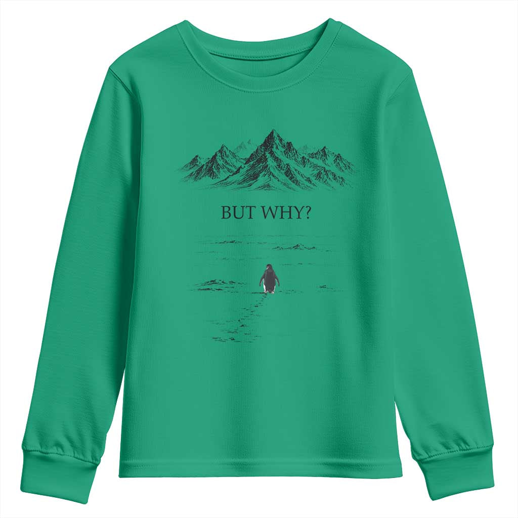 The Nihilist Penguin But Why Meme Youth Sweatshirt Existential Moody Quiet Thinkers