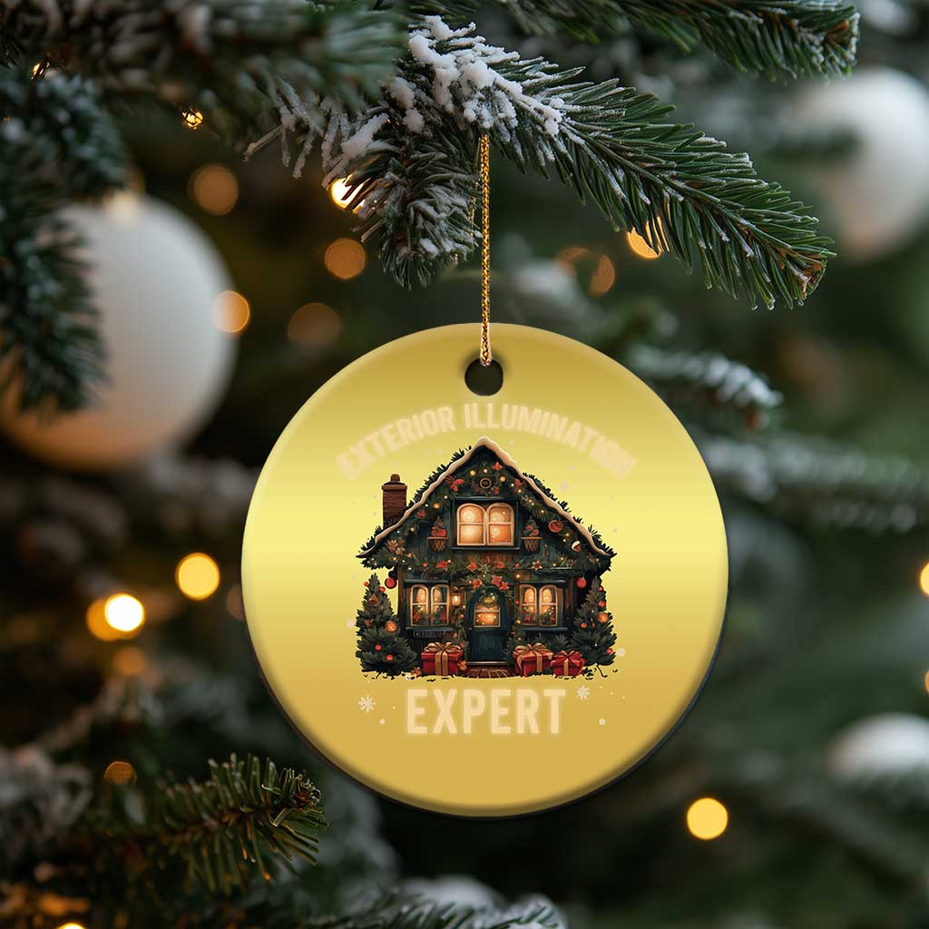 Funny Christmas Christmas Ornament Exterior Illumination Expert Xmas Lights Home Decor - Wonder Print Shop