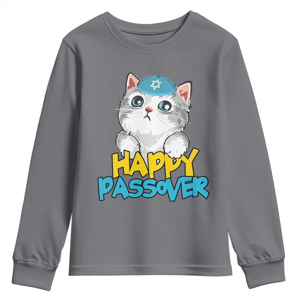 Happy Passover Cute Cat Youth Sweatshirt Seder Jewish Pesach