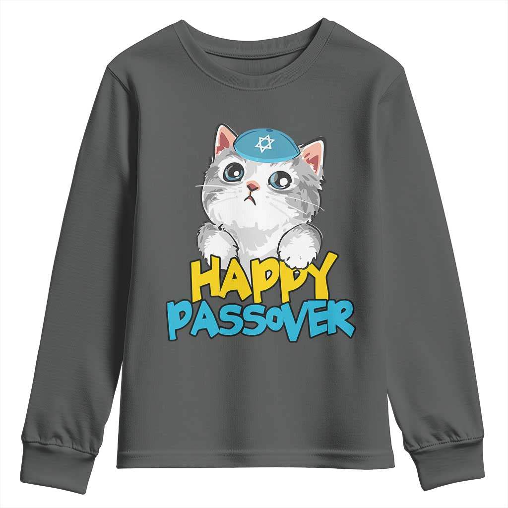 Happy Passover Cute Cat Youth Sweatshirt Seder Jewish Pesach