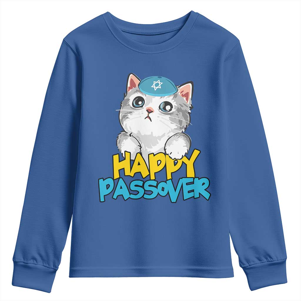 Happy Passover Cute Cat Youth Sweatshirt Seder Jewish Pesach