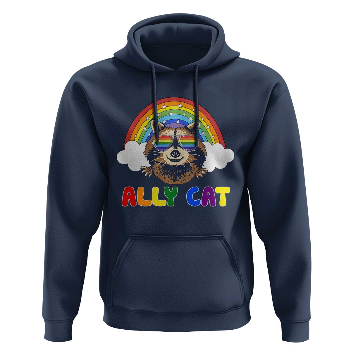 Ally Street Cat Rainbow Raccoon Hoodie Funny LGBTQ+ Pride Support