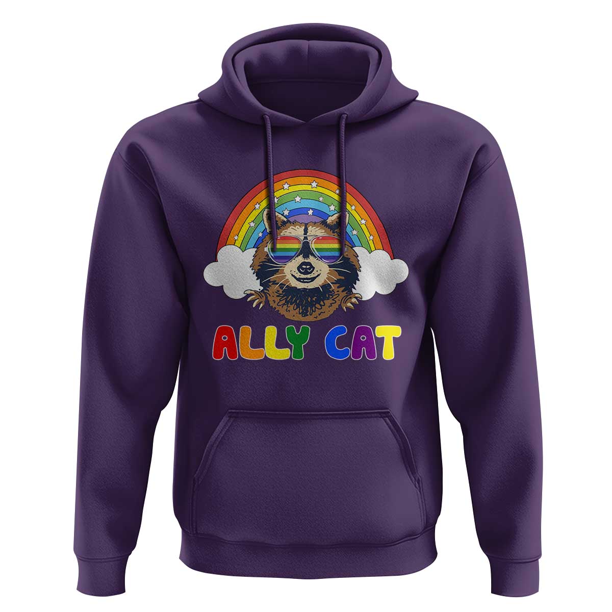 Ally Street Cat Rainbow Raccoon Hoodie Funny LGBTQ+ Pride Support