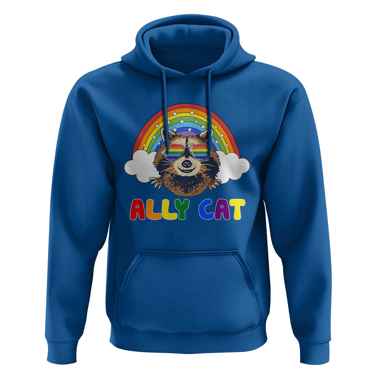 Ally Street Cat Rainbow Raccoon Hoodie Funny LGBTQ+ Pride Support