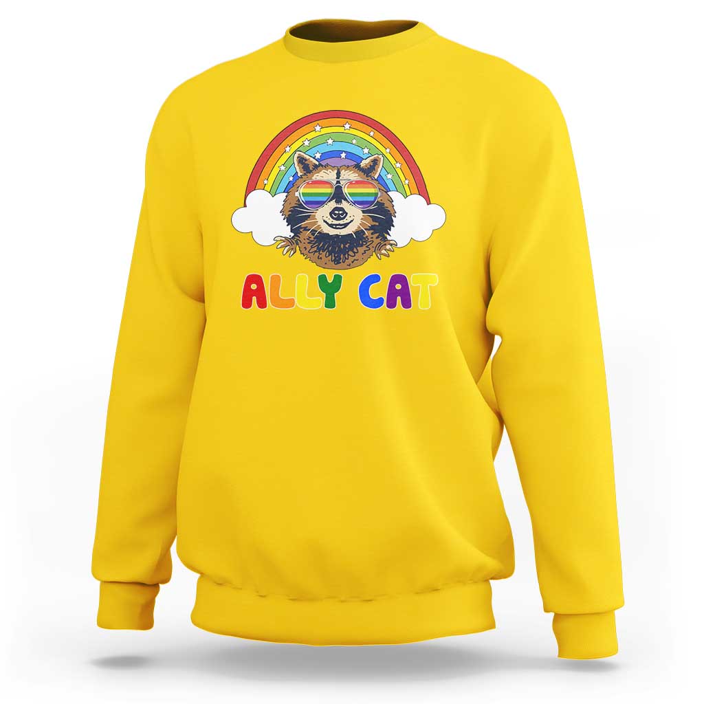 Ally Street Cat Rainbow Raccoon Sweatshirt Funny LGBTQ+ Pride Support