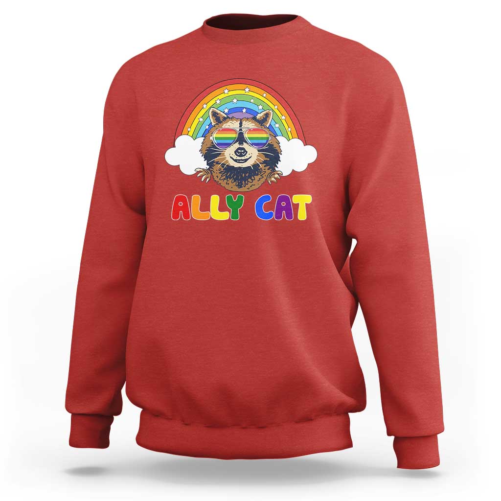 Ally Street Cat Rainbow Raccoon Sweatshirt Funny LGBTQ+ Pride Support