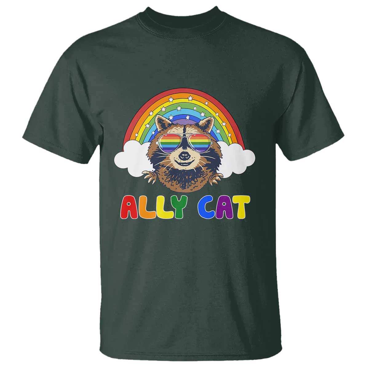 Ally Street Cat Rainbow Raccoon T Shirt Funny LGBTQ+ Pride Support