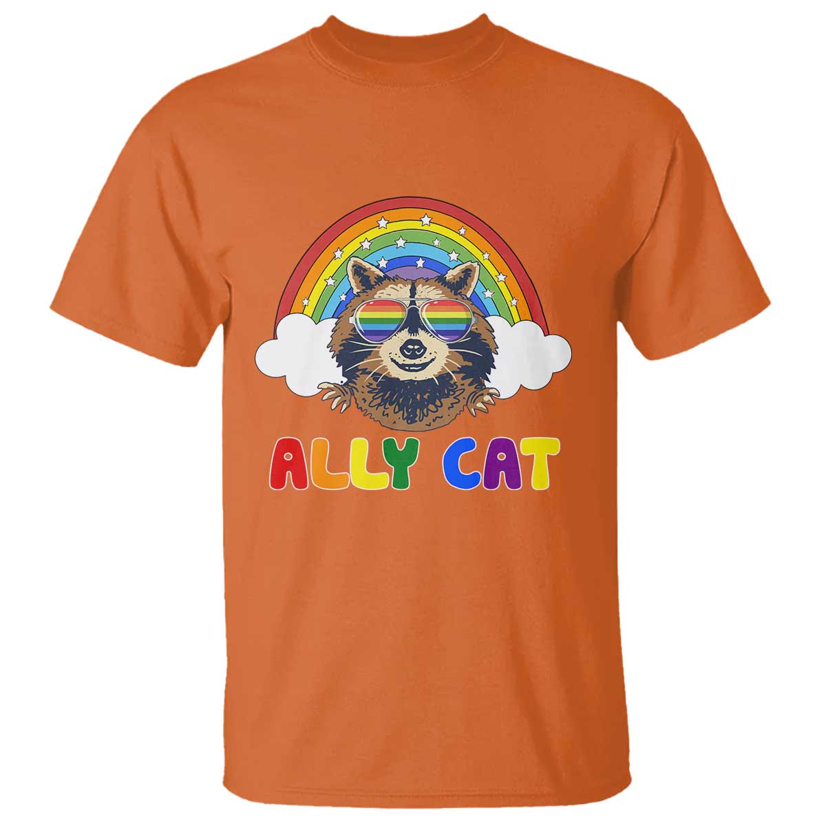 Ally Street Cat Rainbow Raccoon T Shirt Funny LGBTQ+ Pride Support