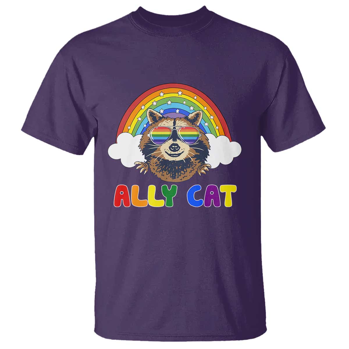 Ally Street Cat Rainbow Raccoon T Shirt Funny LGBTQ+ Pride Support