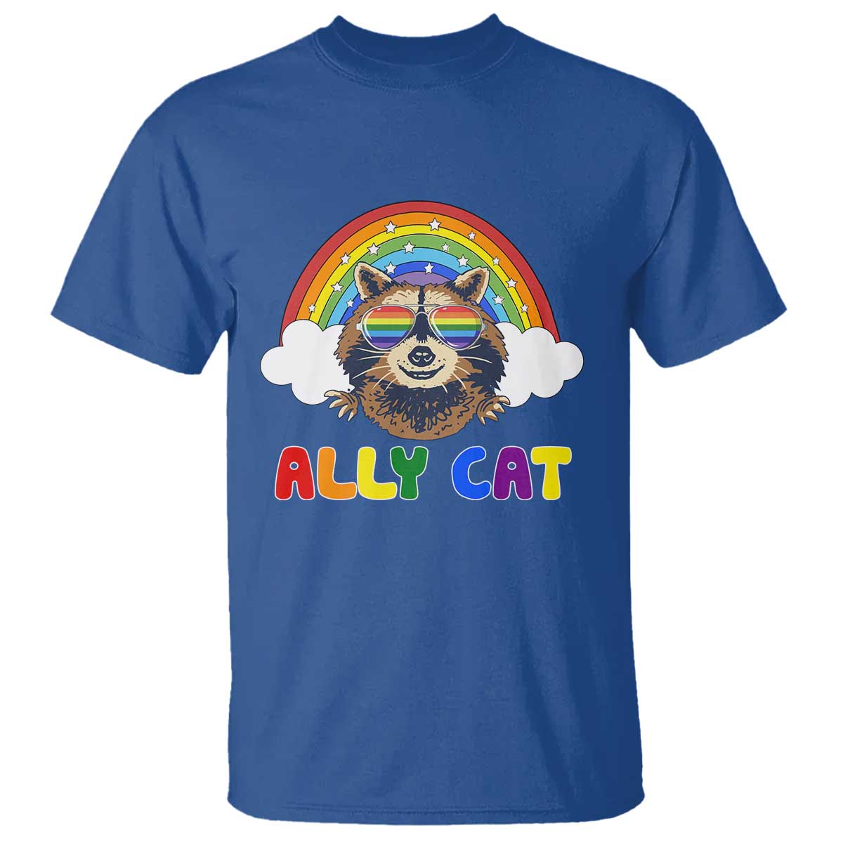Ally Street Cat Rainbow Raccoon T Shirt Funny LGBTQ+ Pride Support