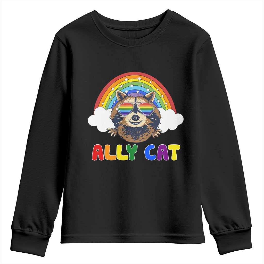 Ally Street Cat Rainbow Raccoon Youth Sweatshirt Funny LGBTQ+ Pride Support