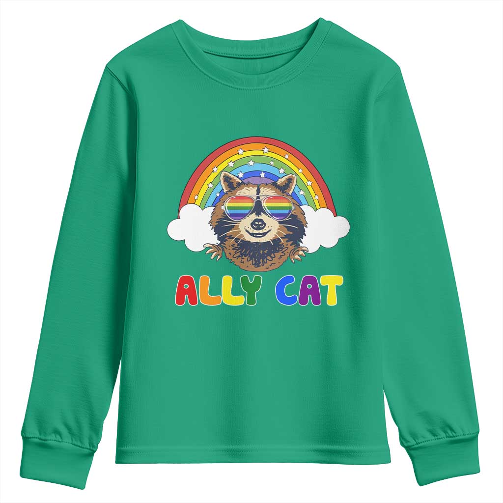 Ally Street Cat Rainbow Raccoon Youth Sweatshirt Funny LGBTQ+ Pride Support
