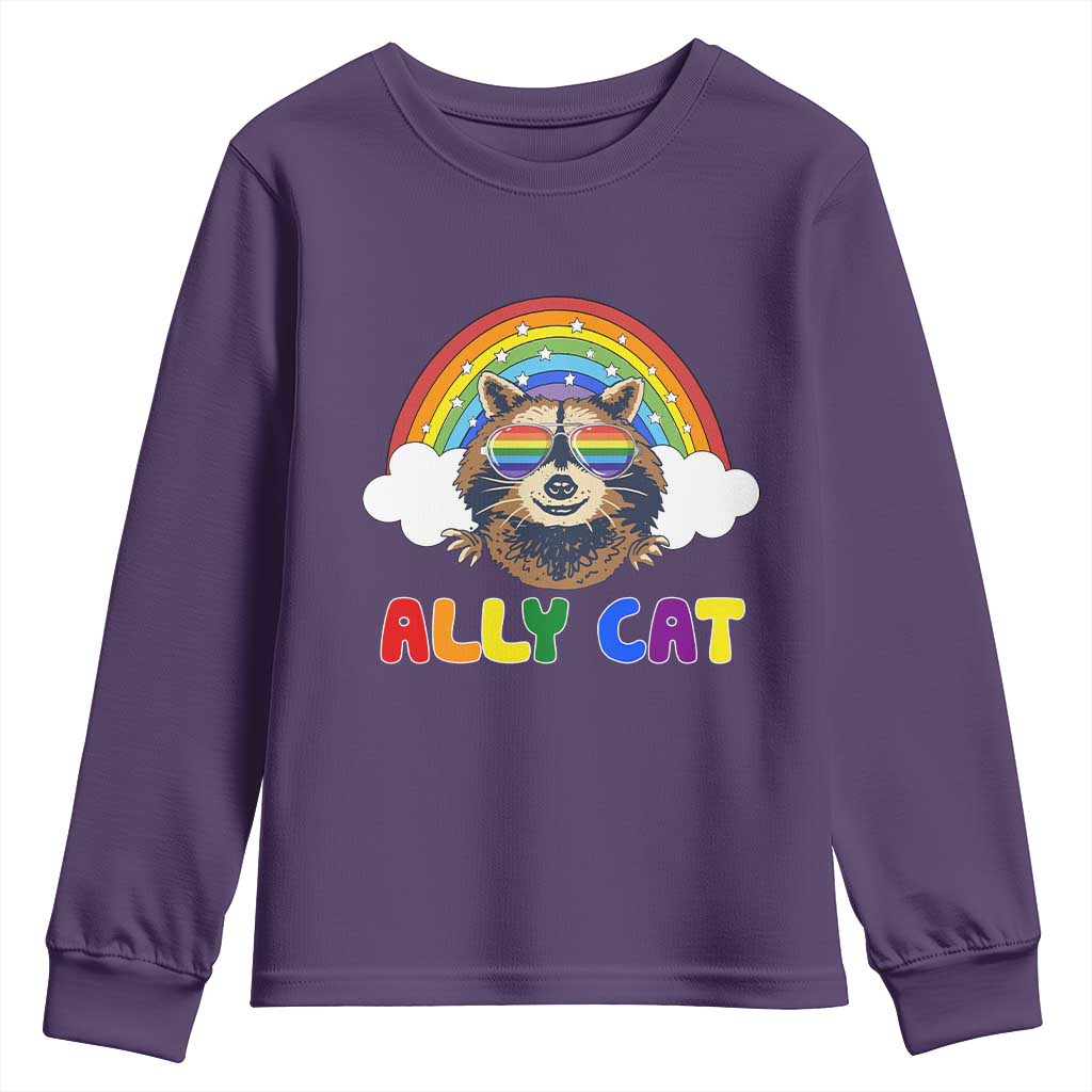 Ally Street Cat Rainbow Raccoon Youth Sweatshirt Funny LGBTQ+ Pride Support
