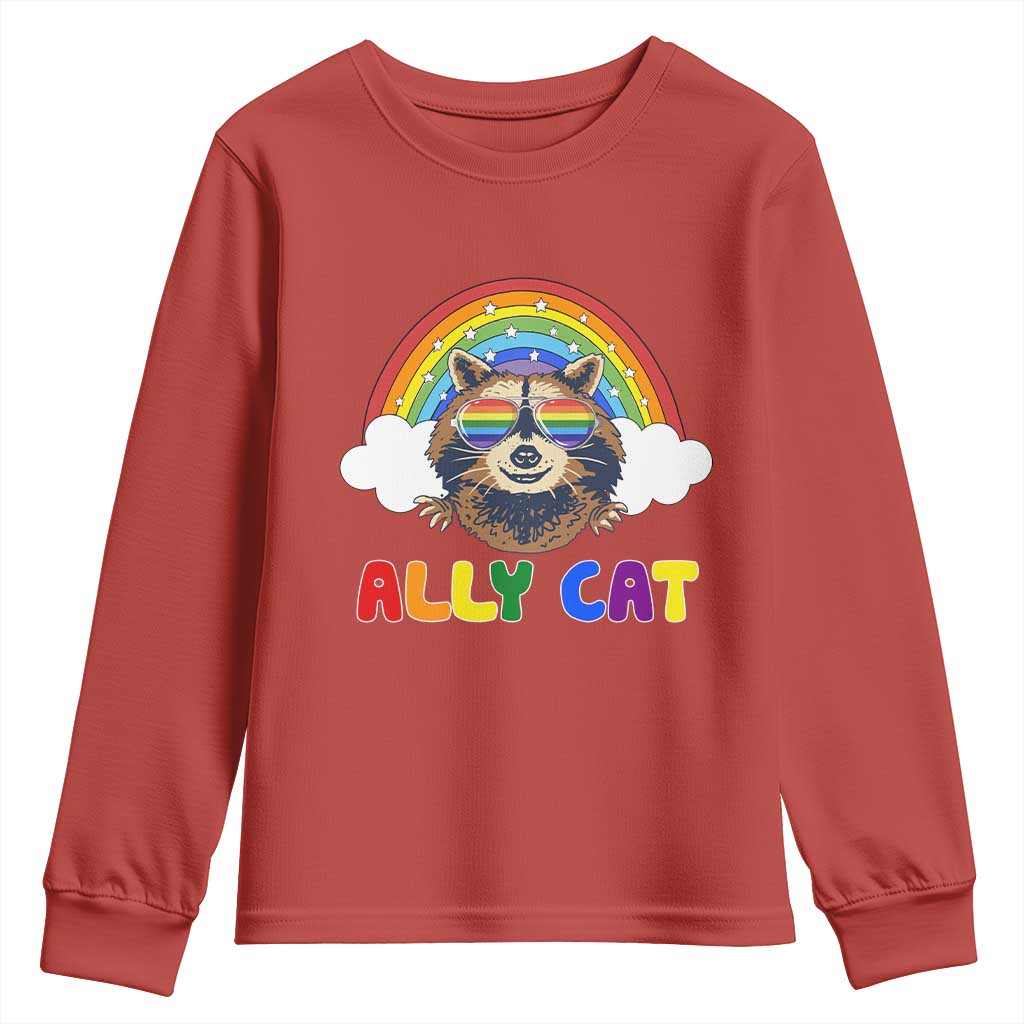 Ally Street Cat Rainbow Raccoon Youth Sweatshirt Funny LGBTQ+ Pride Support